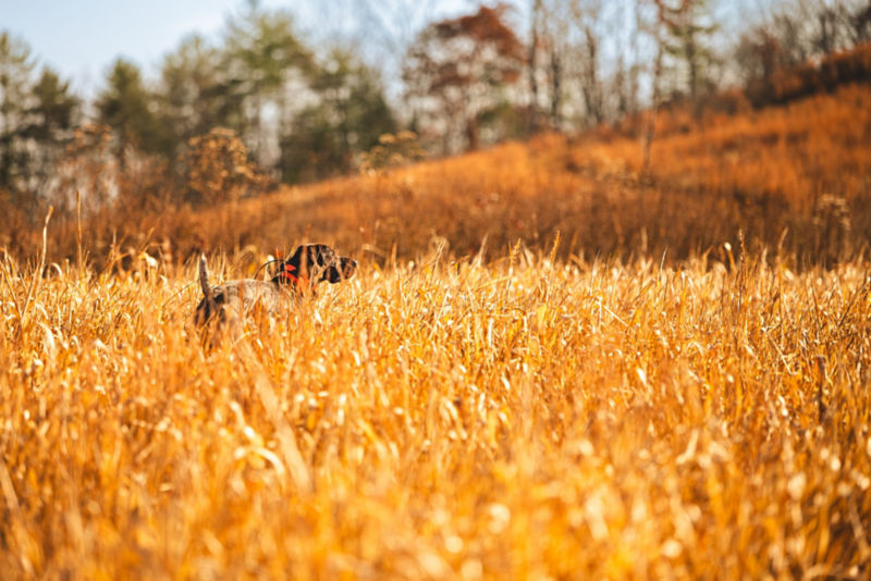 The Preserve At Crooked Run, VA - 