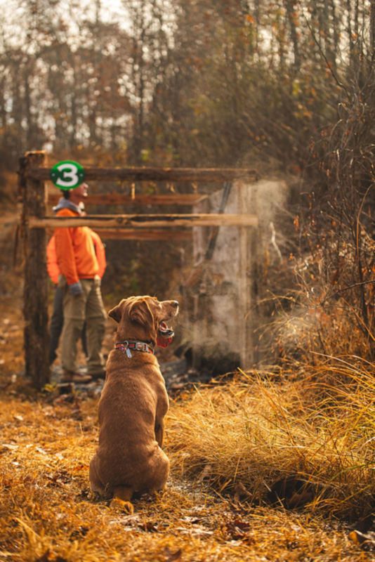 The Preserve At Crooked Run, VA -  image number 2