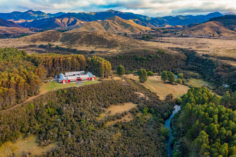 Poronui Wingshooting -  image number 4