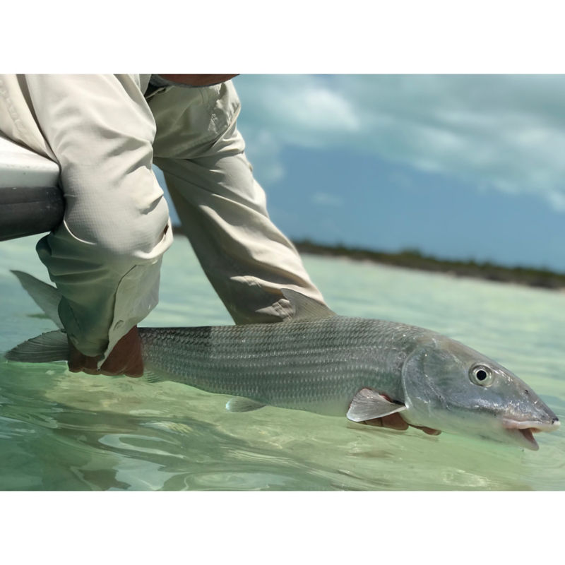 Orvis Week With Tom Rosenbauer At Swain&rsquo;s Cay Lodge
