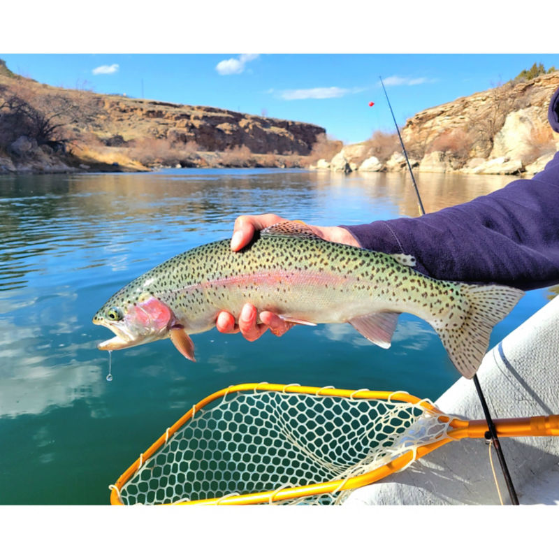 Wyoming Wings & Waters - Fly Fishing -  image number 1