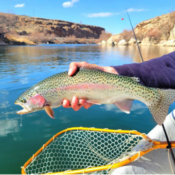 Wyoming Wings and Waters - Fly Fishing - image number 1