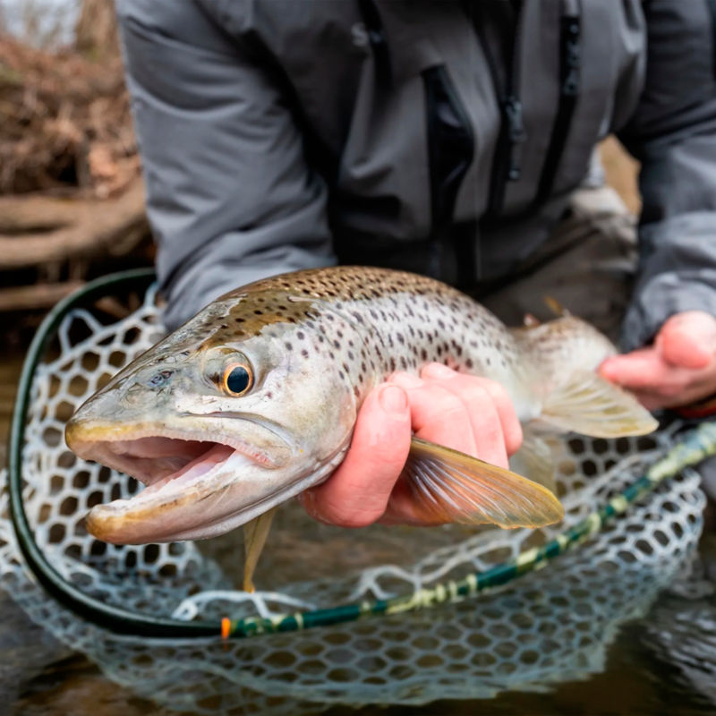 Wesley Hodges Fly-Fishing -  image number 4