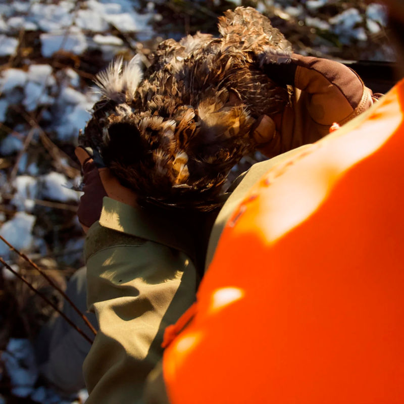 Wesley Hodges Bird Hunting, VA -  image number 3