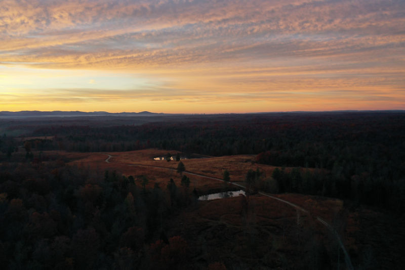 Sawbriar Hunting, TN -  image number 3