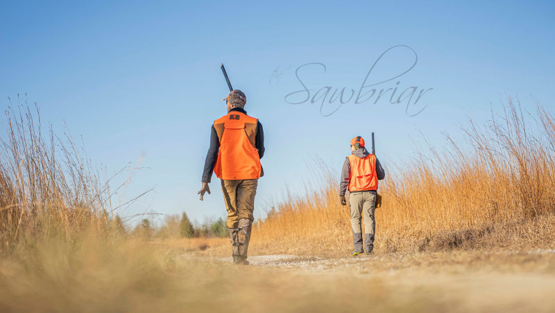 Sawbriar Hunting, TN -  image number 4