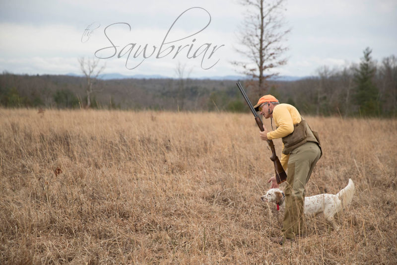 Sawbriar Hunting, TN -  image number 5
