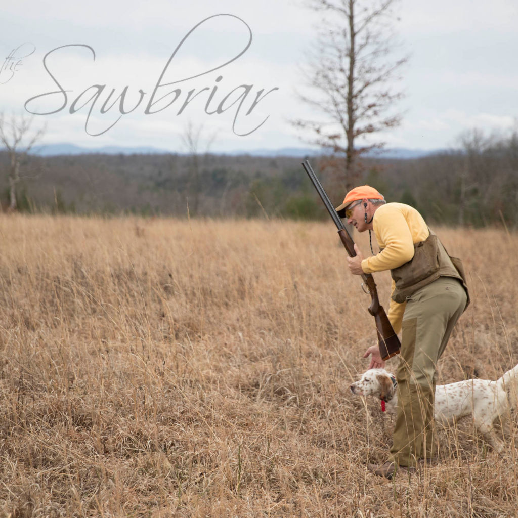 Sawbriar Hunting Lodge -  image number 5