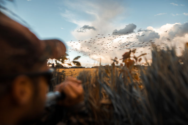 Birdtail Waterfowl Inc. - 