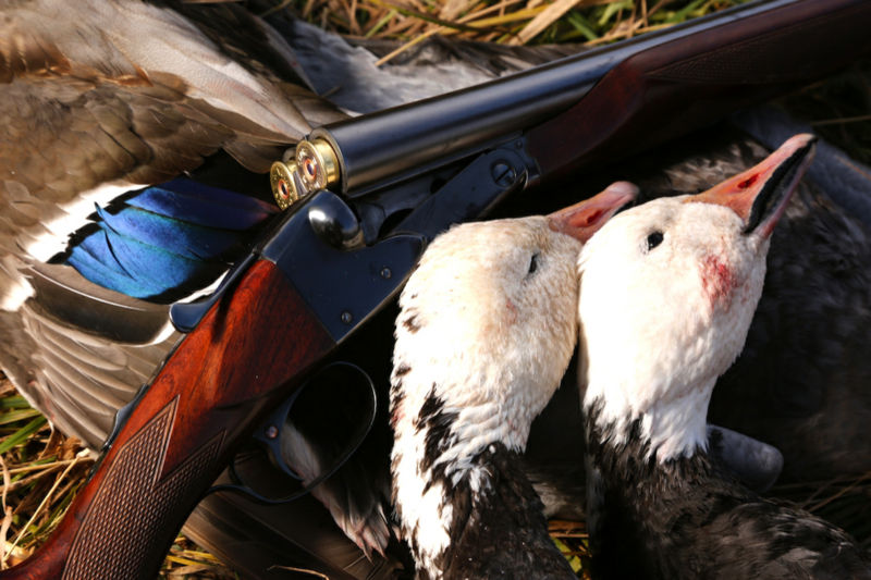 Birdtail Waterfowl Inc. -  image number 2
