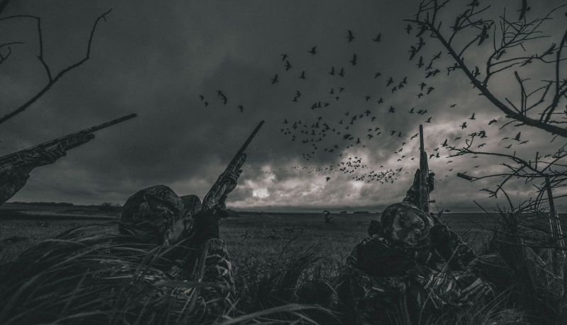 Birdtail Waterfowl Inc. -  image number 4