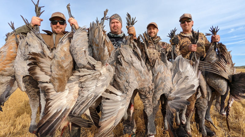 Birdtail Waterfowl Inc. -  image number 5