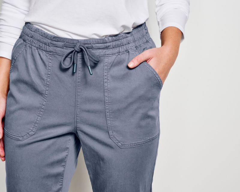 Explorer Ankle Pants - CARBON image number 1