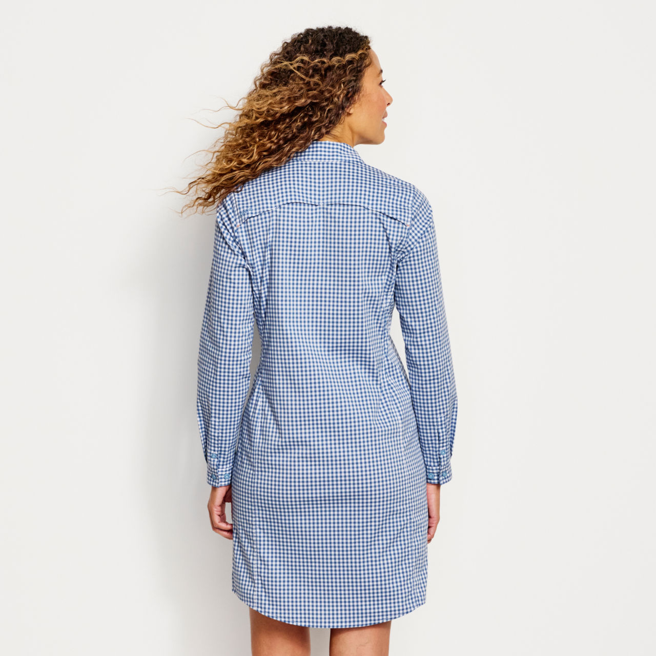 River Guide Long-Sleeved Dress - DUSTY BLUE CHECK image number 3