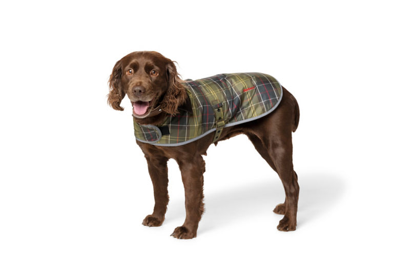 Orvis on sale dog sweater