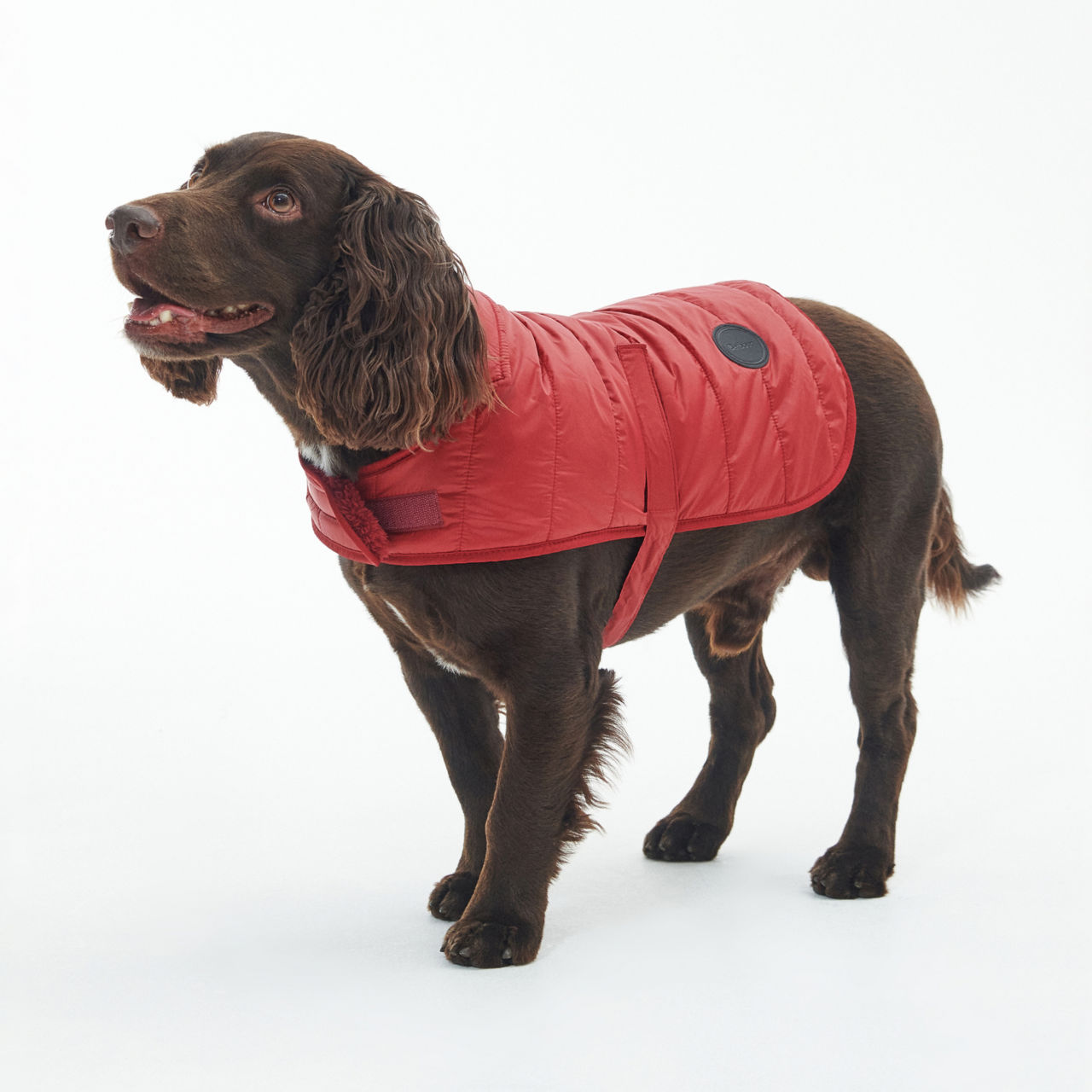 Barbour® Baffle Dog Jacket - RED image number 3