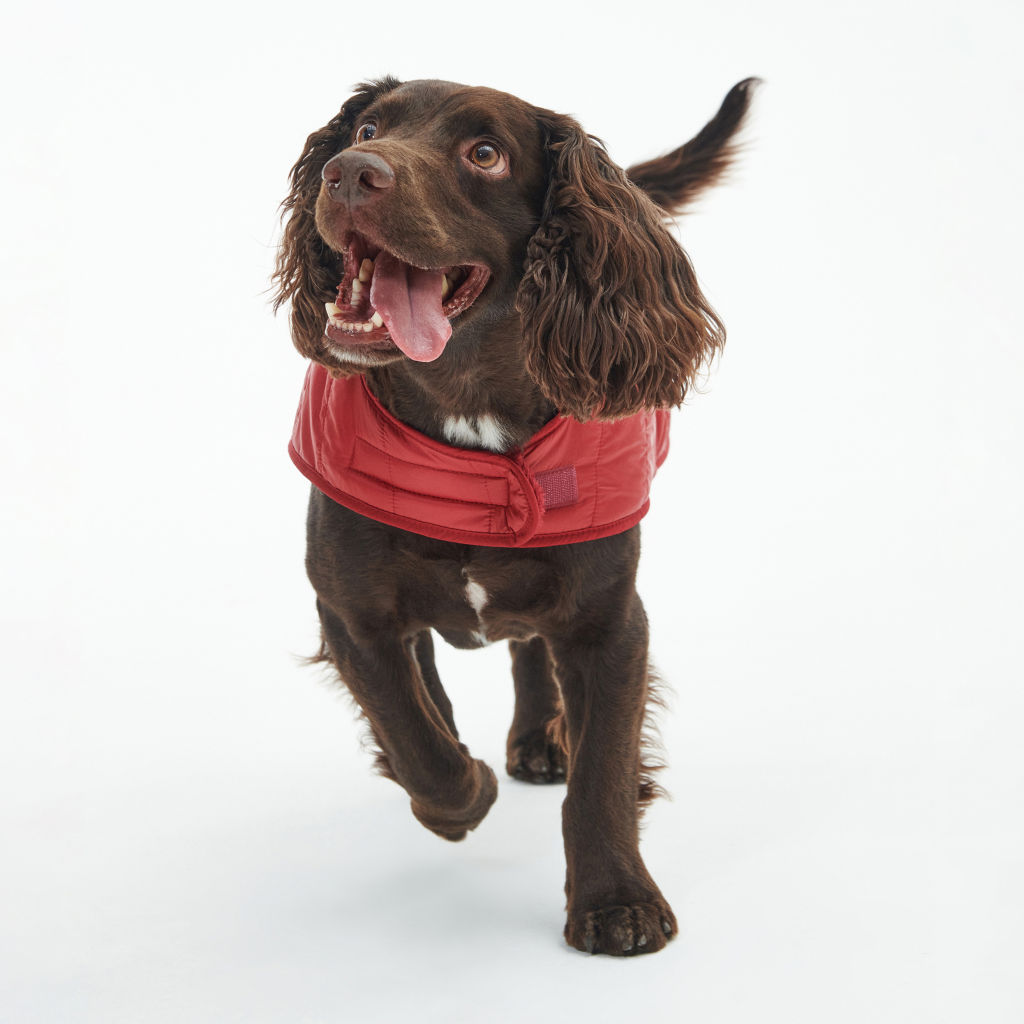 Barbour® Baffle Dog Jacket - RED image number 2