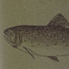 Orvis Ceramic Pint - GREEN FISH