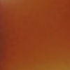 RAEN Rufio 55 Sunglasses - TORTOISE