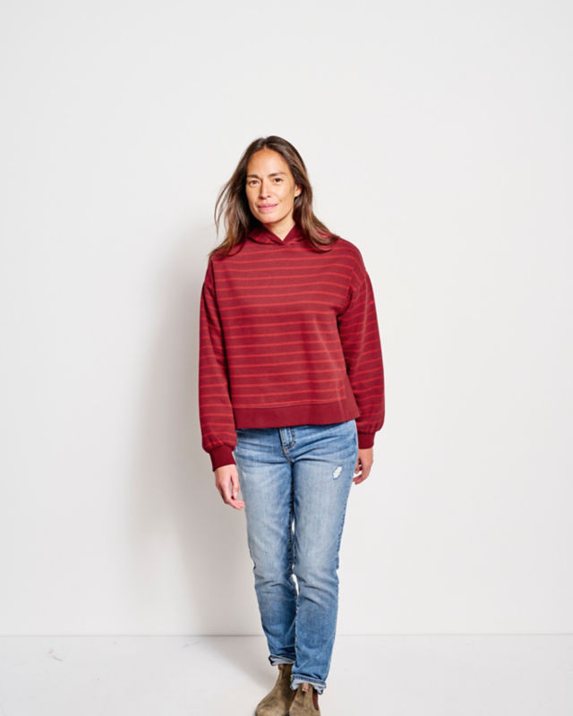 Well-Worn Hoodie - CURRANT STRIPE image number 0