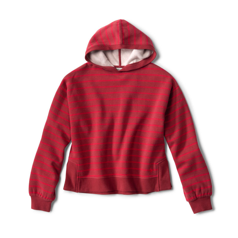 Well-Worn Hoodie - CURRANT STRIPE image number 5