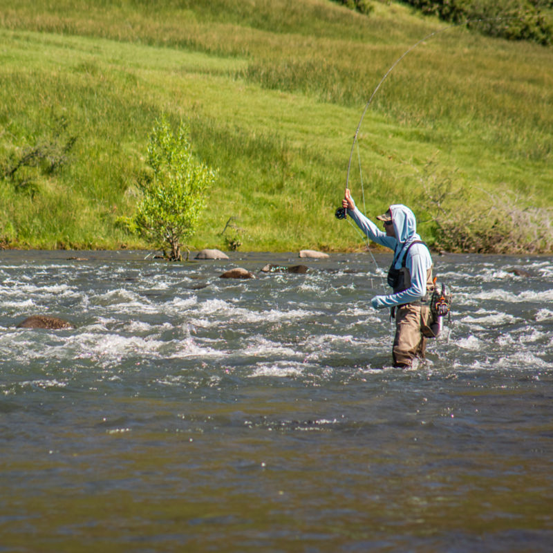 Patagonia Outfitters -  image number 2