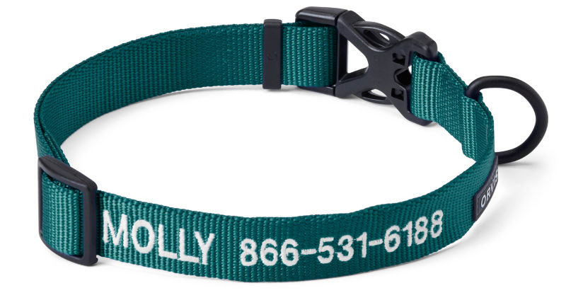 Personalized Side-Release Buckle Collar in teal with the name Molly embroidered on it.