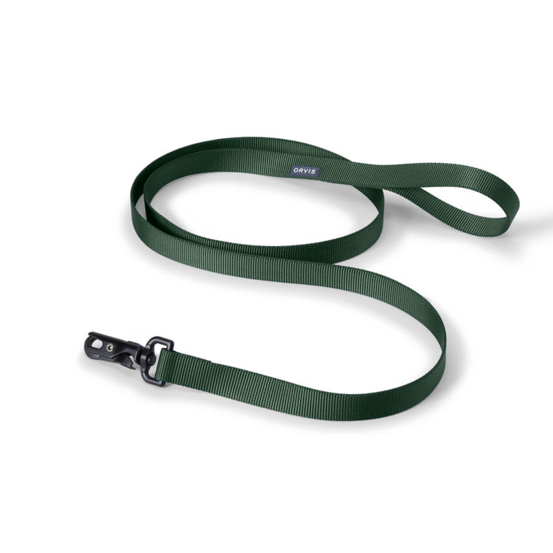Personalized Side-Release Buckle Collar and Leash - GREEN image number 1