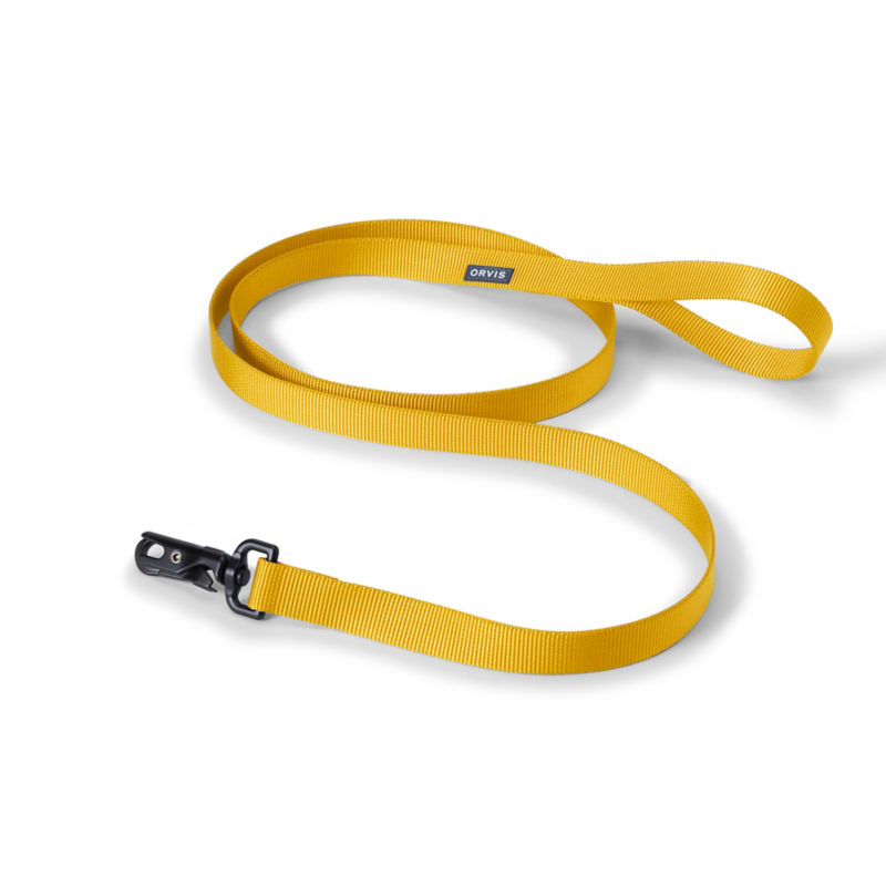 Personalized Side-Release Buckle Collar and Leash - GOLDENROD image number 1