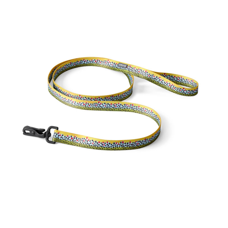 Personalized Side-Release Buckle Collar and Leash - BROWN TROUT image number 1