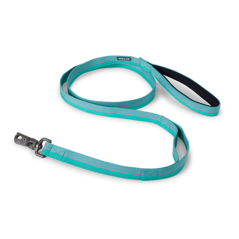 Tough Trail&reg; Woven Dog Leash - TEAL image number 0
