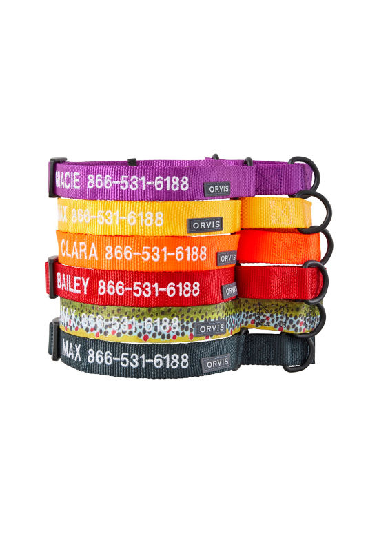 Stack of colorful personalized dog collars.