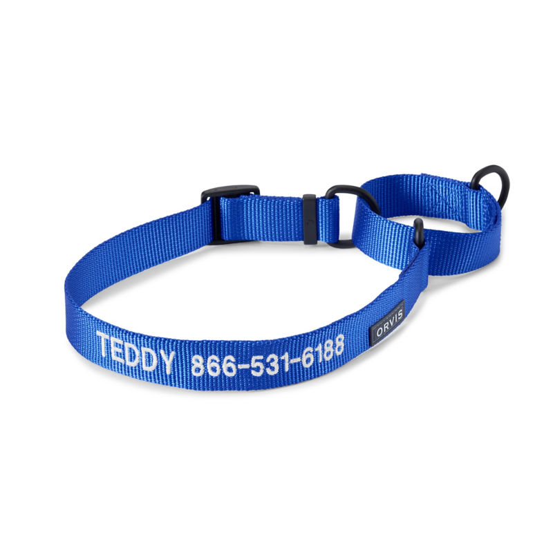 A blue personalized dog collar with the name Twddy embroidered on it.