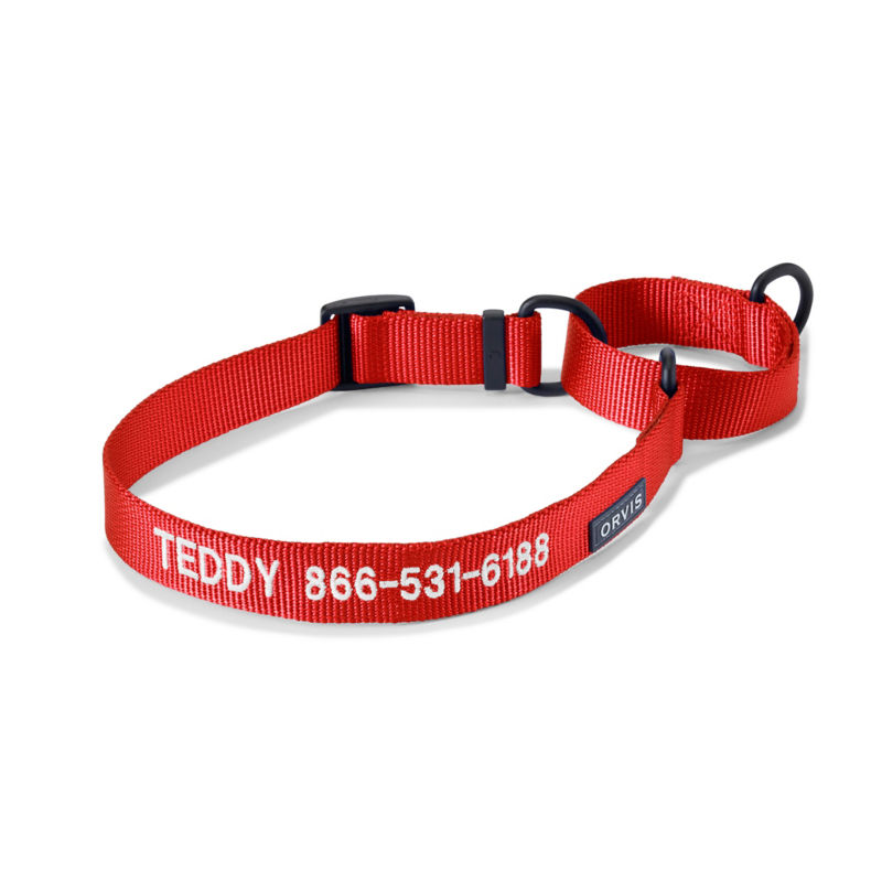 Orvis Martingale Collar & Leash Bundle - RED