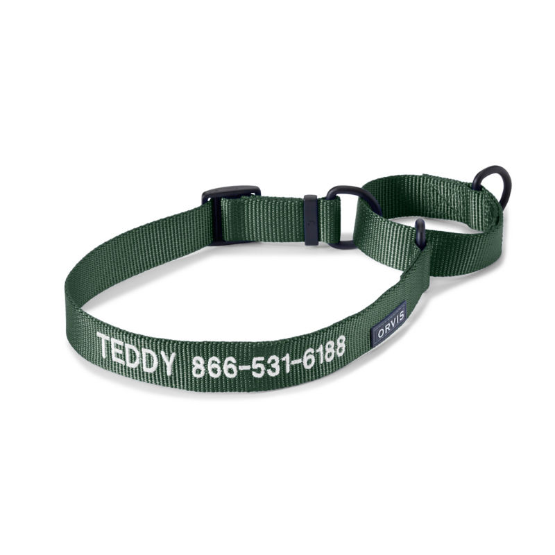 Orvis Personalized Martingale Dog Collar - GREEN image number 0