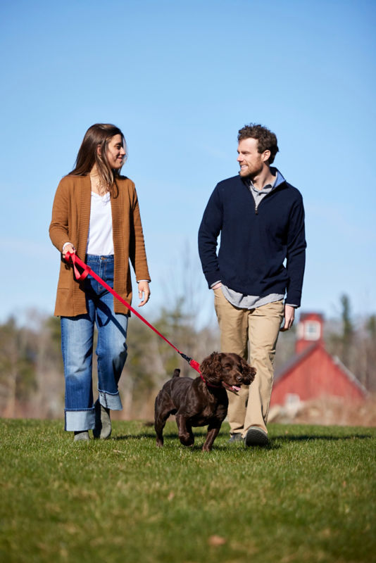 A brown dog wearing a red dog collar.