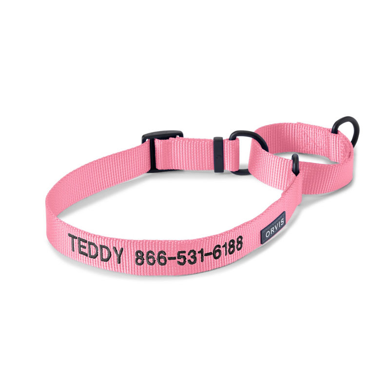 Orvis Personalized Martingale Dog Collar - PINK image number 0