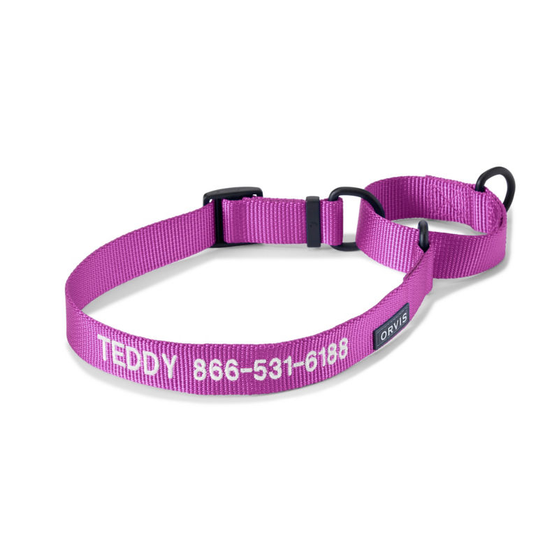 Orvis Personalized Martingale Dog Collar - ORCHID image number 0