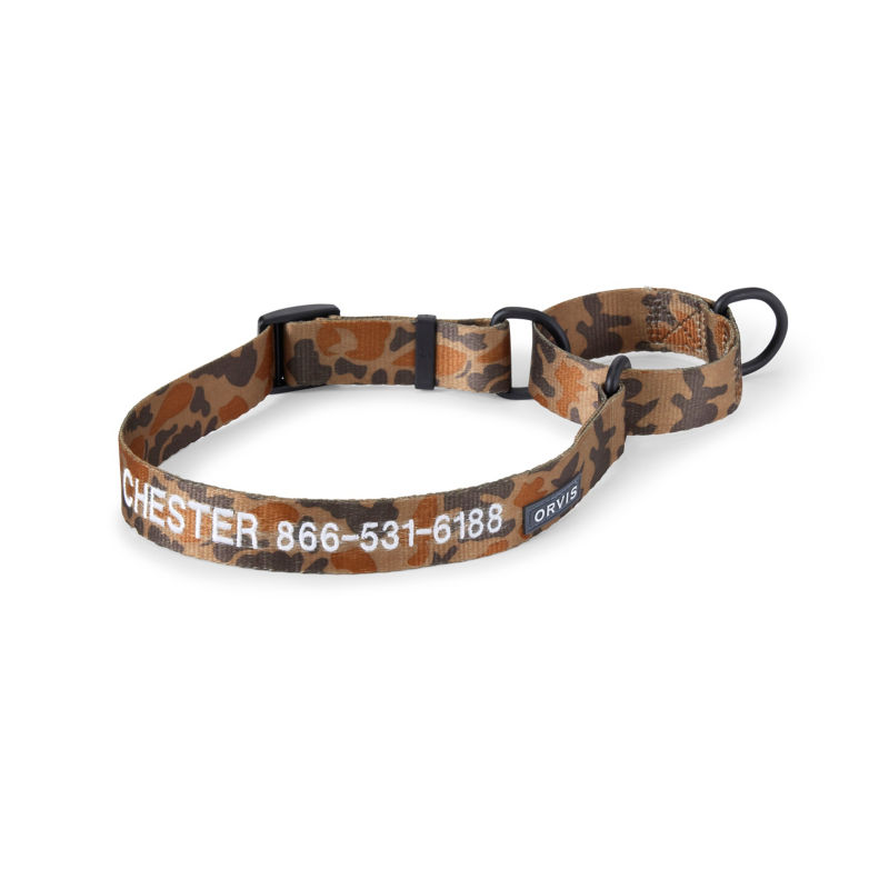 Conceal a collar for dogs hotsell