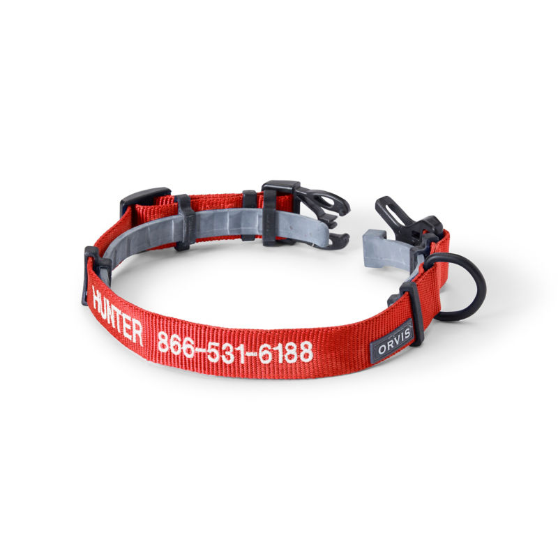 Orvis Personalized Flea & Tick Compatible Dog Collar - 