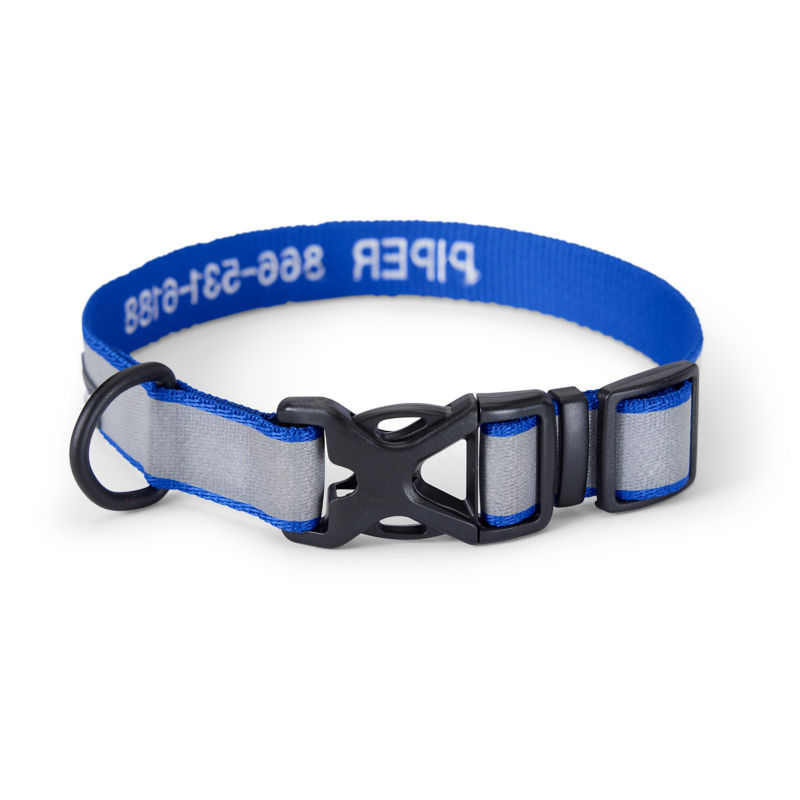 Orvis Reflective Collar & Leash Bundle - BLUE image number 2