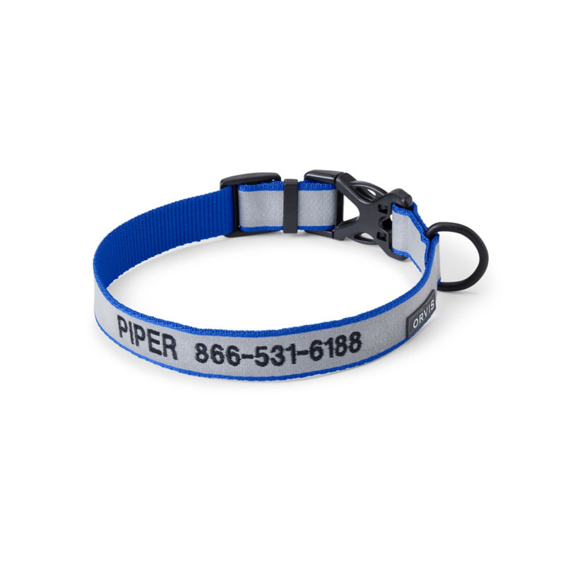 Orvis Reflective Collar & Leash Bundle - BLUE