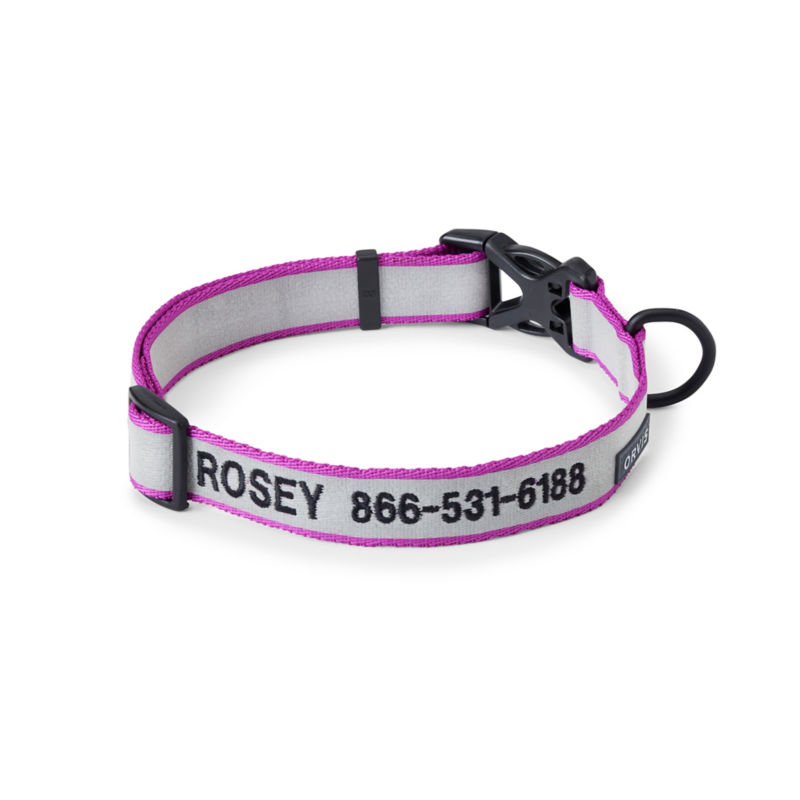 A close up of personalization on a reflective collar that has purple trim.