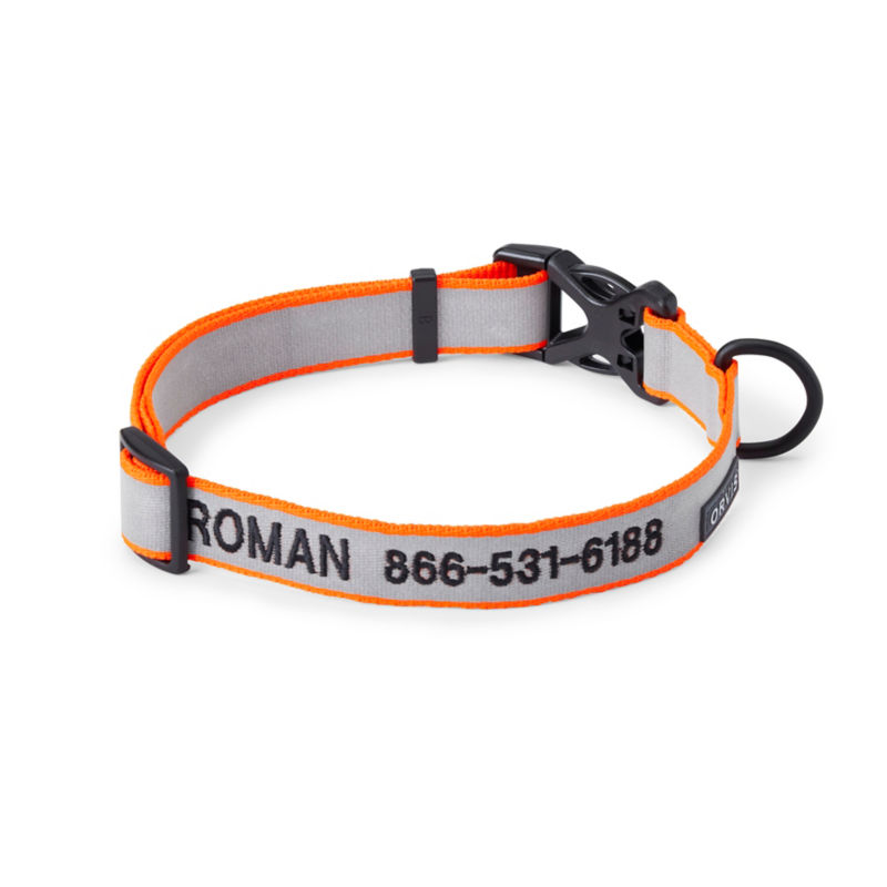Orvis Personalized Reflective Dog Collar - BLAZE image number 0