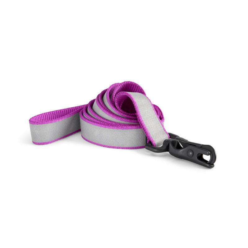 Orvis Reflective Collar & Leash Bundle - ORCHID image number 2