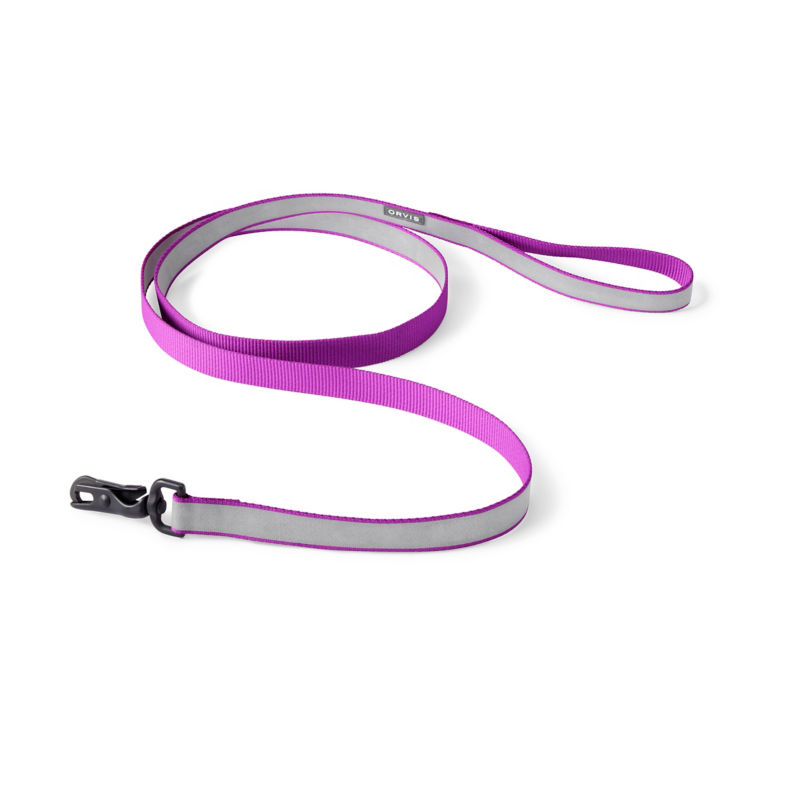 Orvis Reflective Collar & Leash Bundle - ORCHID image number 1