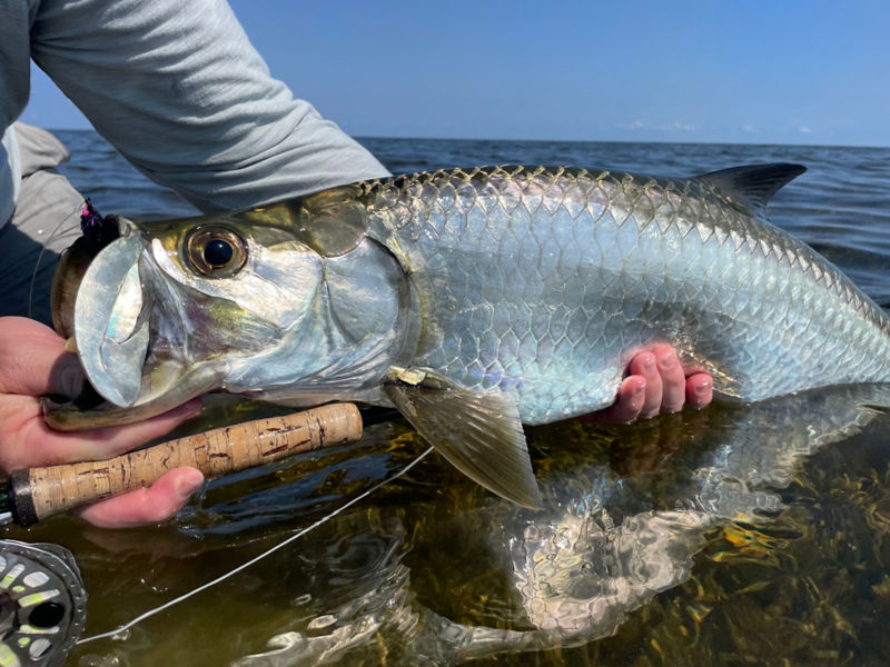 Capt. David Yoder -  image number 1