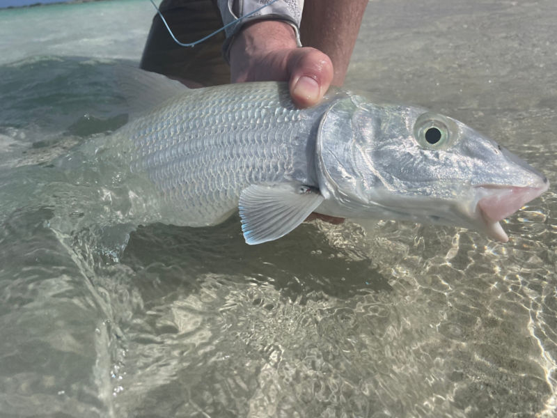 Capt. David Yoder -  image number 5