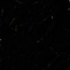 Fulling Mill Cactus Chenille - BLACK