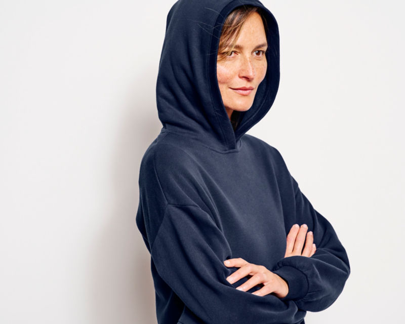 Well-Worn Hoodie - TRUE NAVY image number 3